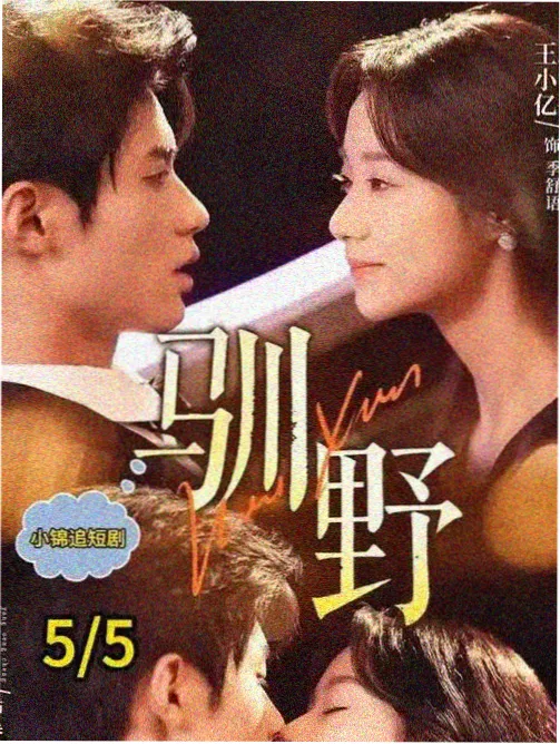 双线叙事悬疑韩剧剧目卡片示意图